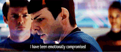 hannahisthedemonqueen:The entire Star Trek fandom right now.