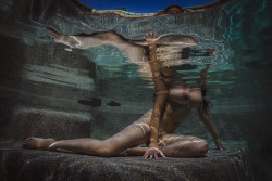 openbooks: Pris, long and strong underwater outside Los Angeles,