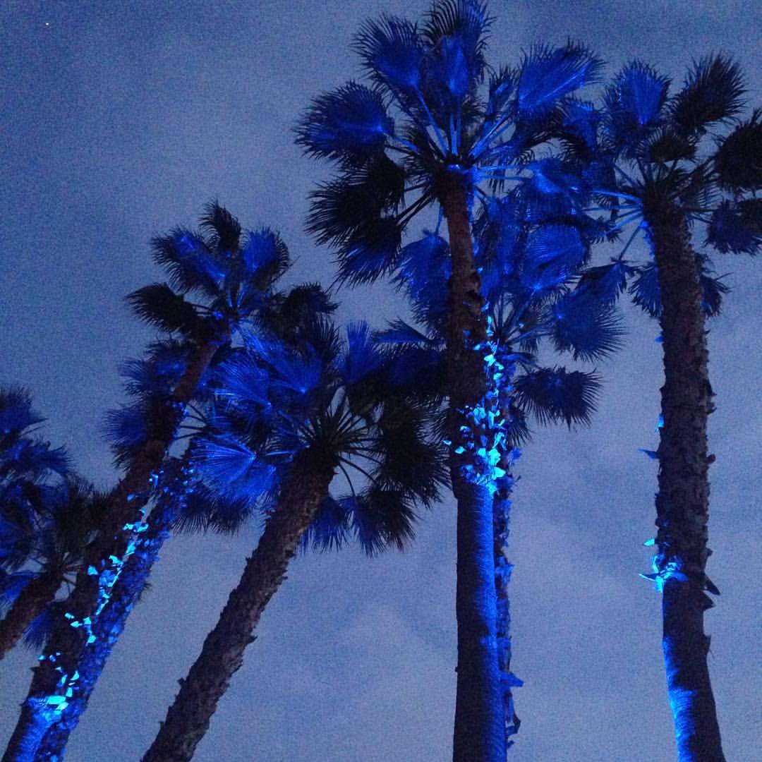 <p>Blue up lights are a unique touch  (at Coronado Island Marriott Resort & Spa)</p>