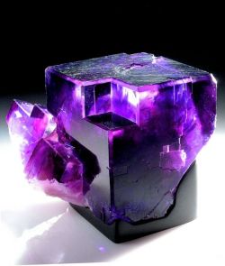 themagicfarawayttree:   piece of fluorite 