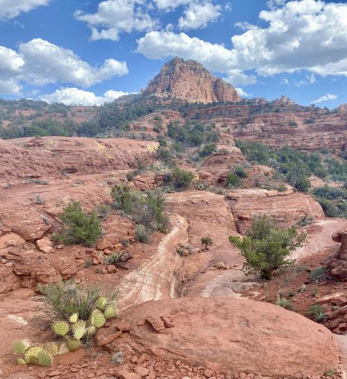 oneshotolive:  Sedona, AZ, USA (3024x3311)(OC) 📷: Alaric_Darconville