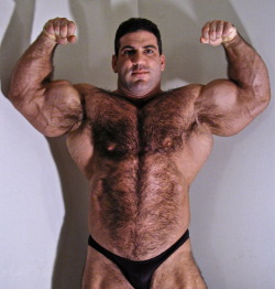 bbfan:  judd2:  Wow  The Original Muscle Bear….   Du poil et