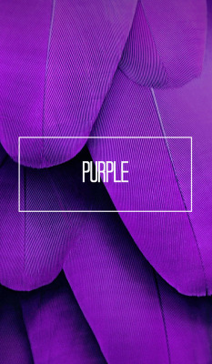 dayanafrias01:  Purple | Lockscreens  