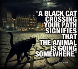 Logic trumps superstition (or does it?)