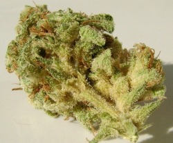 darthweeder420:  Hog’s Breath