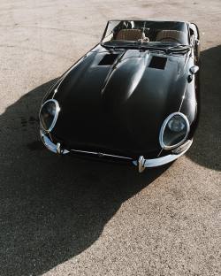 tresbongout:E-Type (instagram, by Kevin McCauley)