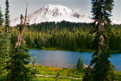 travelingcolors:  Mount Rainier National Park | Washington (by