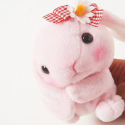 littlepaledoll:  2kawaiitofunction:  x  I HAS THIS BUNBUN BUT