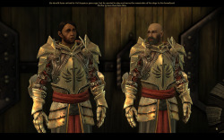 cypheroftyr:  I snagged these while in Denerim. The two templars