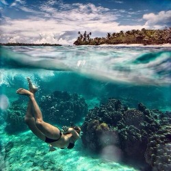 awesomeagu:  Diving in Australia