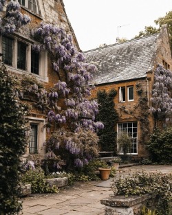 andantegrazioso: Coton Manor  |  aaron.etc  