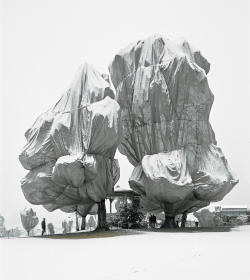 natur4listic:  Christo and Jeanne-Claude - Wrapped Trees, 1997-1998
