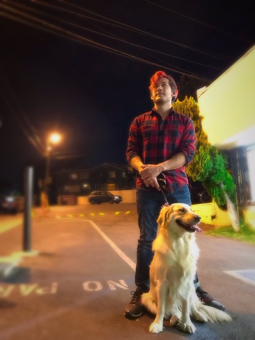 briseptiplier:  It’s dangerous to go alone so take your doggo with you