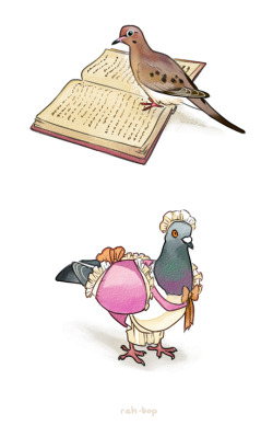 rah-bop:  Hatoful Boyfriend is a precious treasure. 