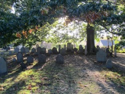 cultofweird:  Old Burying Point cemetery, from our Friday the