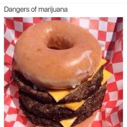 revolutionarykoolaid:  I WOULD FUCK THAT UP!