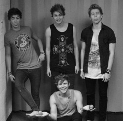 heartbreakirwin:  @5secsofsummer: We take the weirdest pre-show