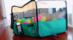 funnyandhilarious:  Just A Pug In A Ball Pit Don’t forget to