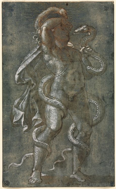 beyond-the-pale:   Man Entwined by Two Snakes, ca. 1527 Giovanni