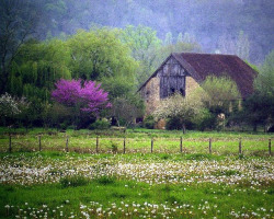 bonitavista:  Dordogne, Francephoto via kristin