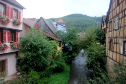 wilderwood:Alsatian villages are straight out of fairy tales-