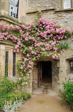 gardeninglovers:  Haddon Hall, Derbyshire - In form a medieval