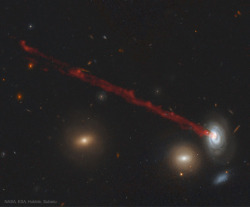 nasa-daily:  The Long Gas Tail of Spiral Galaxy D100  via NASA