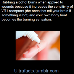 ultrafacts:If you’ve ever applied alcohol to a cut or other