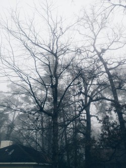 seyduox:Its foggy and I love it 