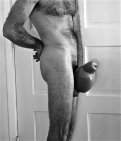 Nice hairy body and an awesome siliconed package - WOOF