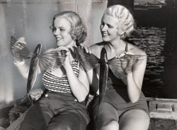 Flying Fish at Santa Catalina, 1935.
