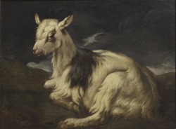 nationalmuseum-swe: A Goat Resting by Philipp Peter Roos, Nationalmuseum,
