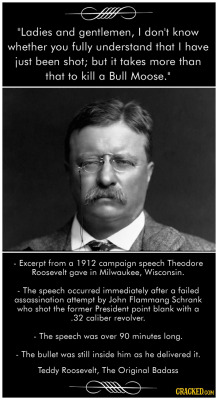 rebelangel1102: You will never be as badass as Teddy Roosevelt! 