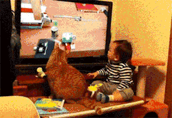 reblog-gif:  other funny gifs - - - - http://gifini.com/