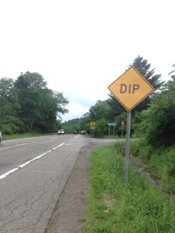 grebbityfloop: dip 