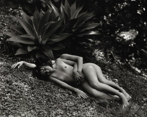 tumblr photo nakedworldofmars 0