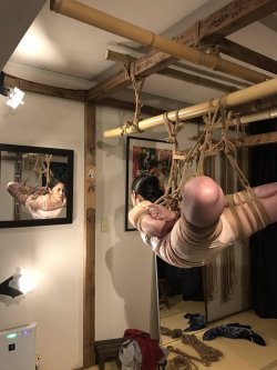 thevertigonetwork:  Shibari&Photo Naka AkiraModel Iroha Shizuki