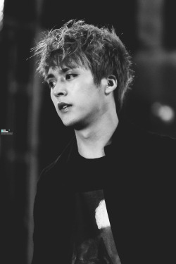 beastrising:  Dongnenuna | do not edit     