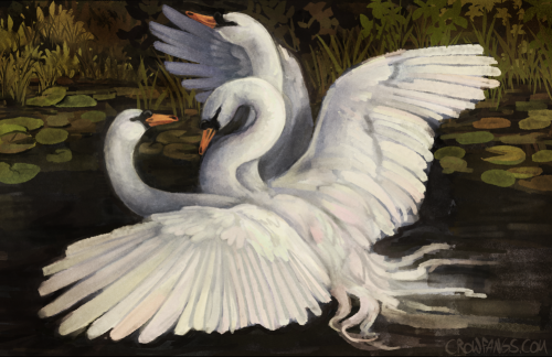 crow-fangs:   Have a swan… hydra…. thing. Been doing lots