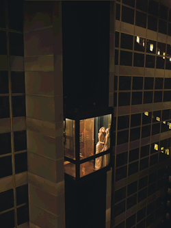 denier69:  View from my room……~~~~ wmagazine:  The night