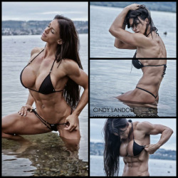 charlieboca:#wcw Cindy Landolt #cindylandolt