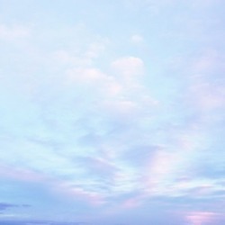 lavendervalar:  bubblegum flavored skyphotos by🌙 
