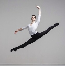 Danseur Flexibility