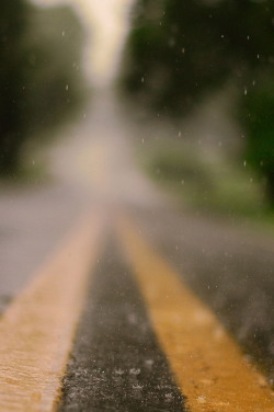 r2–d2:  Rainy Days by (Noelle Buske) 