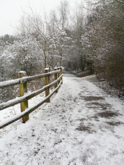 vwcampervan-aldridge:  Snow covered track at Chasewater Country