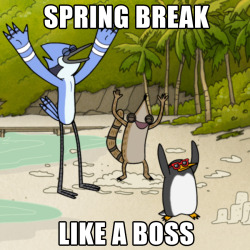 No matter where you Spring Break, do it like a boss. #springbreak