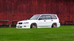 carpr0n:  Starring: Subaru Forester     By Jose Colon