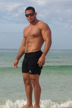 Hot Muscle Bears