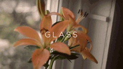 impossibleparker:  GlassFilmed by Kyle Parker starring @xoe-trope13