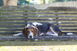 ashleymcadoo:  He’s my favorite little model! Hunter Mcadoo